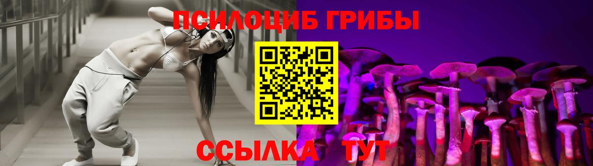 Гусев  Галлюциногенные грибы Psilocybe  Вход с VPN 